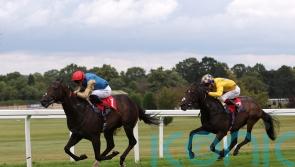 Aesterius rated quick enough for Molecomb dash