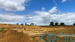 Plant species recorded in Bedfordshire for first time in restored quarry land