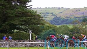 Alice Procter out of intensive care following Cartmel fall
