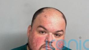 Holly Willoughby murder plot security guard seeks to appeal against convictions