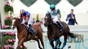 O’Brien keen to see how Opera Singer handles 10 furlongs