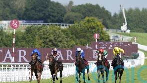 Haggas eyeing step up in trip for Maljoom