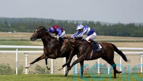 Jan Brueghel stakes Leger claim with gutsy Gordon Stakes win