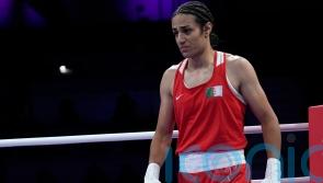 UN special rapporteur on violence against women criticises boxing fight