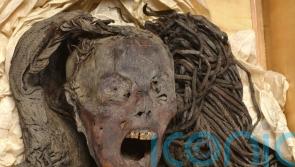 Egyptian Screaming Woman mummy ‘died wailing in pain 3,000 years ago’