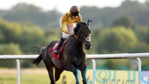 Reaching High bolts up for noteworthy Racing League success