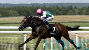 Lead Artist shines under Shoemark at Goodwood