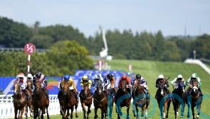 Toimy Son lights up Goodwood’s Golden Mile