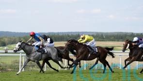 Hamad Al Jehani celebrates landmark Wathnan winner