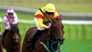 Divina Grace provides Guest with welcome boost at Newmarket