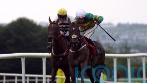 Saint Roi a winner to remember for Aidan Kelly