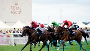 Bradsell back to his flying best at Deauville
