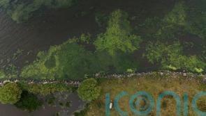 Initiative to find solutions to blue-green algae crisis in Lough Neagh launched