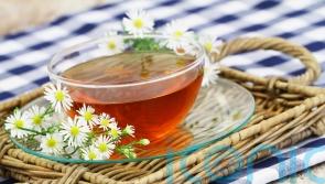 How to grow your own herbal tea