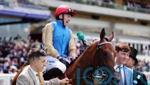 James Doyle to ride work with Shareholder as Prix Morny preparations step up