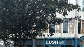 Retailer Lush says workers ‘devastated’ after looting in Hull