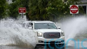 At least five killed as Tropical Storm Debby hits US coast