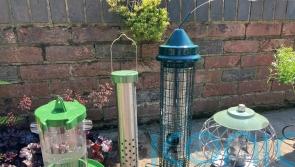 How easy to clean are your bird feeders?