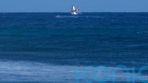 Whale breach seen during Paris Olympics surfing semi-final competition in Tahiti