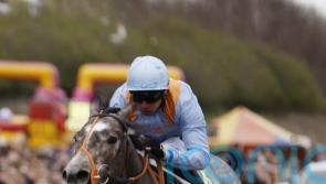 Haydock now the top target for Shouldvebeenaring
