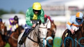 Flat possibilities open to Copper Horse winner Belloccio