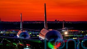 Part of Frankfurt Airport’s power supply cut overnight by a dormouse