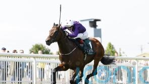 Bucanero Fuerte likely to head for Sprint Cup at Haydock