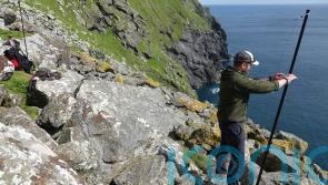 Concern as experts observe sluggish start to seabird breeding season