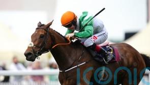 Crystal Black out to extend winning run at Leopardstown