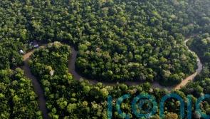 Amazon deforestation in Brazil ‘down to lowest level since 2016’