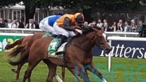 Crisford pondering adding Arabian Dusk to Prix Morny field