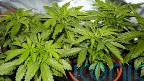 Drugs with street value of more than £1m recovered in raids