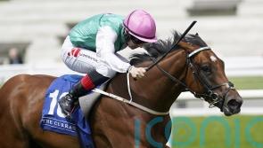 Lyons believes Babouche is good fit for Phoenix test