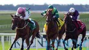 Babouche foils Whistlejacket to take Phoenix Stakes and stay unbeaten