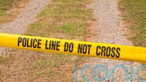 Petrol bomb thrown at Co Down mosque as police investigate overnight attacks