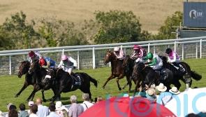Jouncy facing step up in class at York in Gimcrack