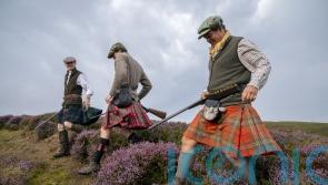 First grouse shooting season with new licensing laws gets under way