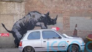 Banksy’s rhino artwork defaced by man in balaclava hours after being unveiled