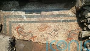 ‘Beautiful’ Roman mosaic depicting dolphins and fish uncovered in Shropshire dig