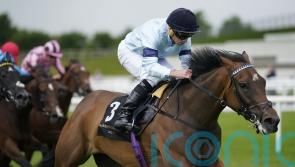 Believing the key word for Boughey in bid for first York success