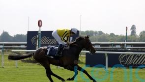 ‘Everyone is so happy with him’ – Ambiente Friendly team counting down to York