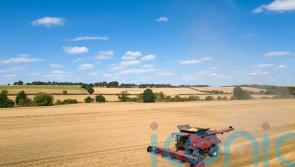 Farming leaders mark ‘self-sufficiency day’ with call to bolster food security
