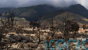 Maui judge bars insurers from going after fire victims after settlement reached