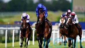 Wild Tiger set to hunt for Bahrain riches this winter