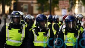 Former milkman handed 14-month prison term after charging at police in Whitehall