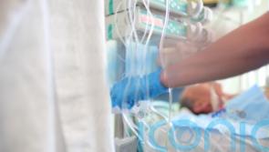 One in four unresponsive brain injury patients ‘can perform cognitive tasks’