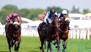 Dwyer counting down to Nunthorpe with Asfoora