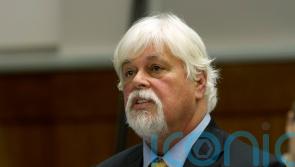 Greenland court orders anti-whaling activist must remain in custody