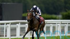 Plans on hold for Celestial Orbit after setback