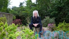 Brian May: Animal welfare community disappointed by Labour’s badger cull stance